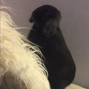 Meet your Posher, Tia